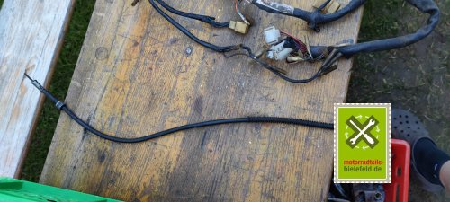 IMG_20230914_175338